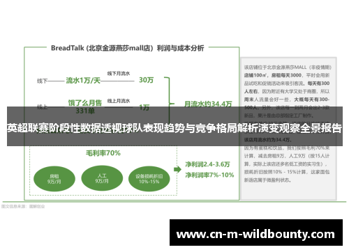 英超联赛阶段性数据透视球队表现趋势与竞争格局解析演变观察全景报告 英超联赛阶段性数据透视球队表现趋势与竞争格局解析演变观察全景报告